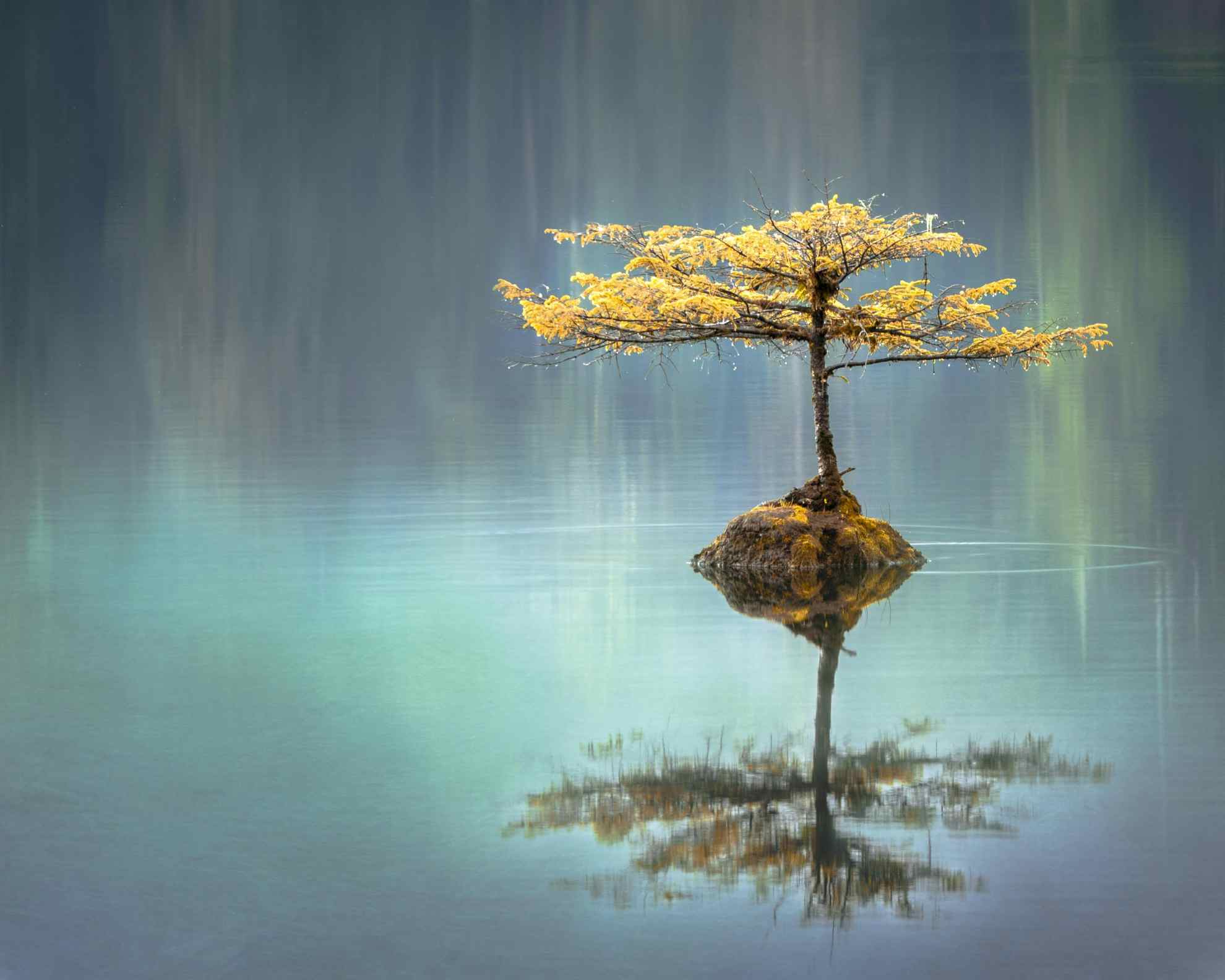 Céu Estrelado Místico