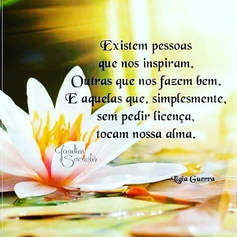 Bom dia!
Sábado repleto de Sol #energia 
#equilíbrio #amor #harmonia