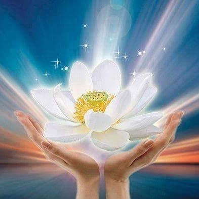 "A doença é uma espécie de consolidação de uma atitude mental. Só é necessário tratar tal atitude para que a doença desapareça." Edward Bach